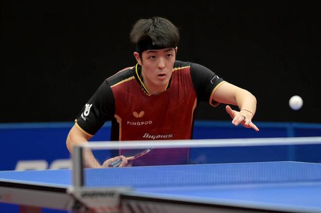 承担后果的 承担后果的